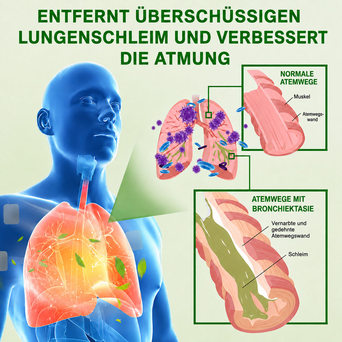 👩⚕️💝 Celsiora® Nano-Lungenreinigungspflaster (Hilft bei erschwertem Abhusten, Kurzatmigkeit, übermäßiger Verschleimung und Lungeninfektionen)