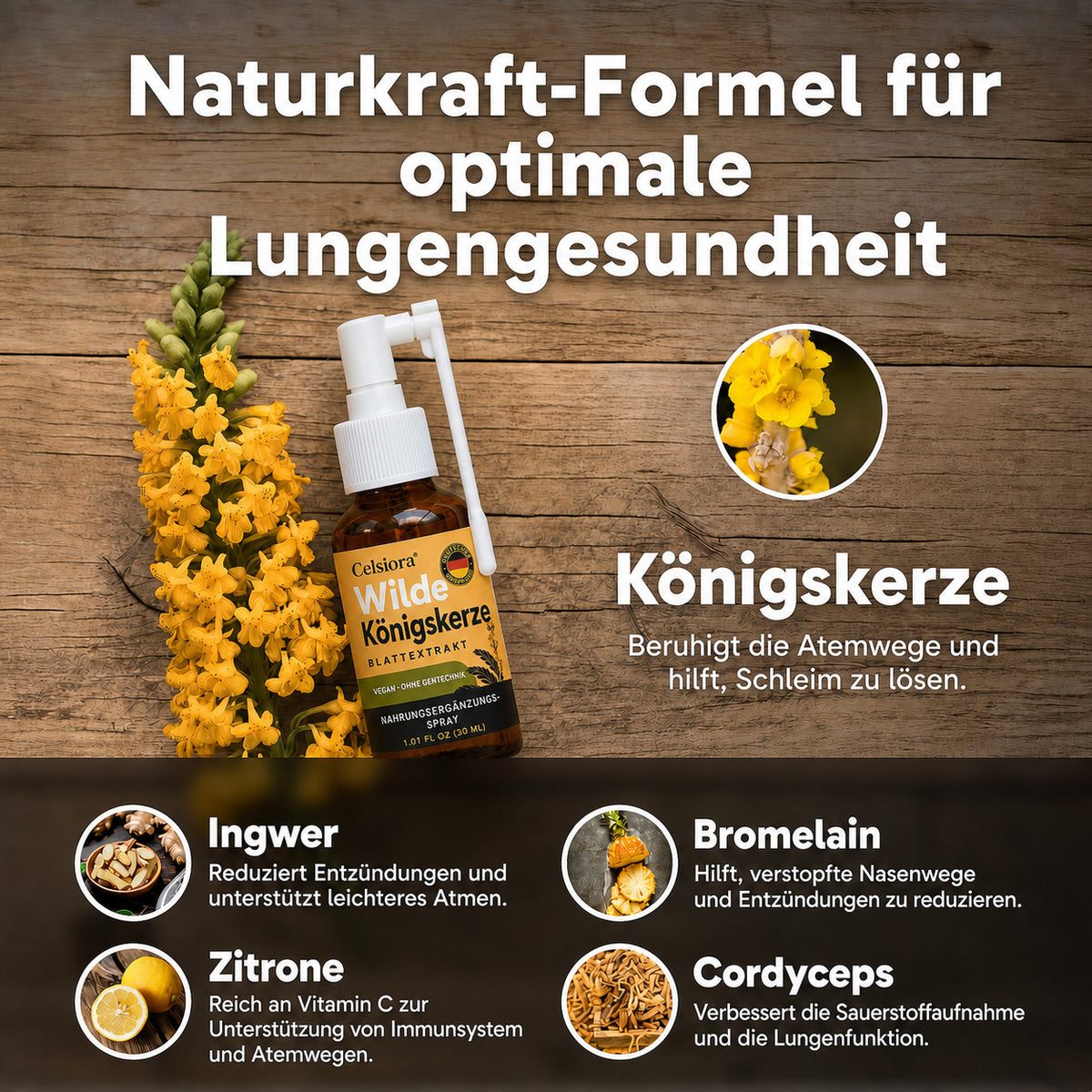 👩‍⚕️💖 Celsiora® Neues Königskerzen-Spray mit maximaler Wirkstärke (Hilft bei erschwertem Aushusten, Atemnot, übermäßiger Schleimbildung und Lungeninfektionen)
