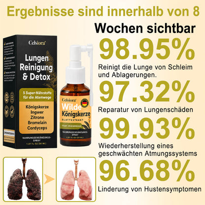 👩‍⚕️💖 Celsiora® Neues Königskerzen-Spray mit maximaler Wirkstärke (Hilft bei erschwertem Aushusten, Atemnot, übermäßiger Schleimbildung und Lungeninfektionen)