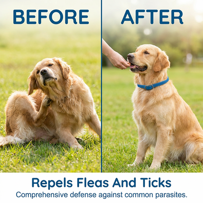 ✨💖 LIMITED TIME 65% OFF! 🔥 50K+ SOLD! Natural 8-Month Natural Essential Oil Flea & Tick Collar for Dogs & Puppies