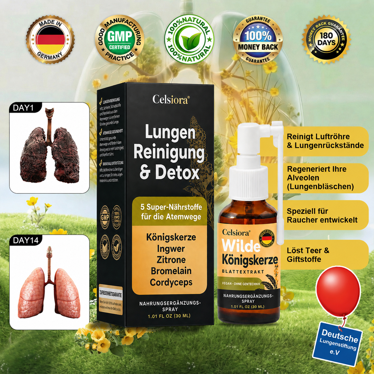 👩‍⚕️💖 Celsiora® Neues Königskerzen-Spray mit maximaler Wirkstärke (Hilft bei erschwertem Aushusten, Atemnot, übermäßiger Schleimbildung und Lungeninfektionen)