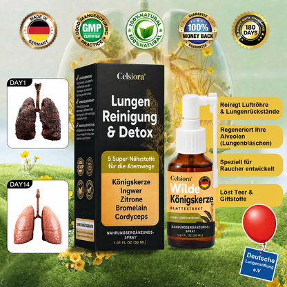 👩‍⚕️💖 Celsiora® Neues Königskerzen-Spray mit maximaler Wirkstärke (Hilft bei erschwertem Aushusten, Atemnot, übermäßiger Schleimbildung und Lungeninfektionen)